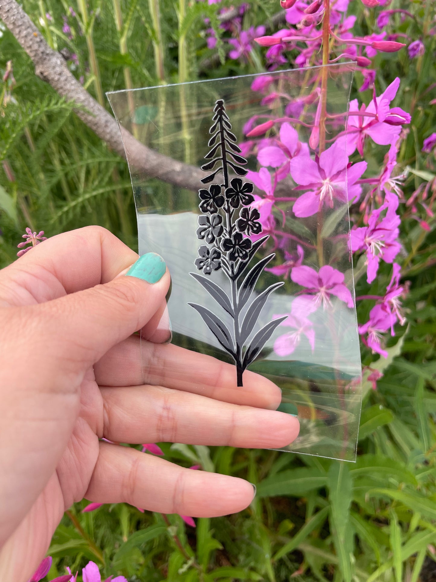Individual Flowers