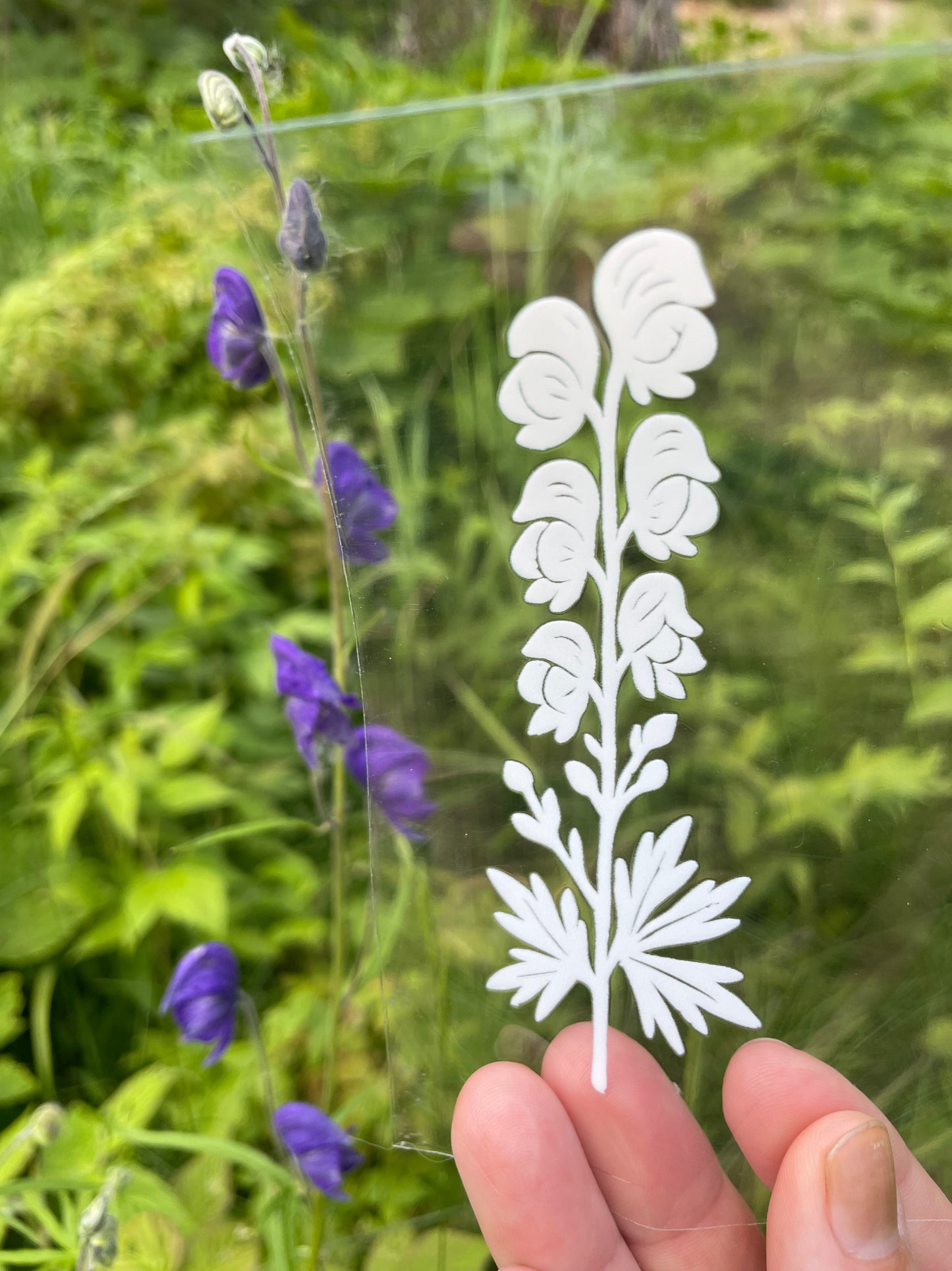 Individual Flowers