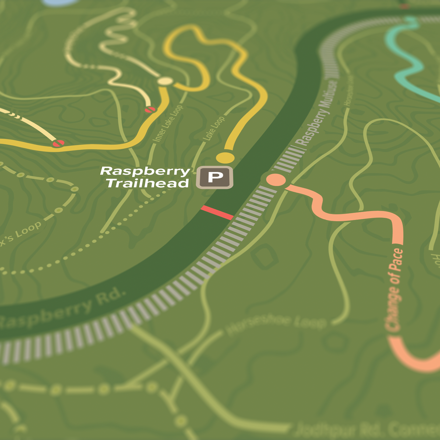 24"x18" Kincaid Summer Singletrack