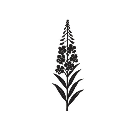 Individual Wild Flowers