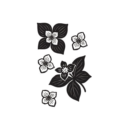 Individual Wild Flowers