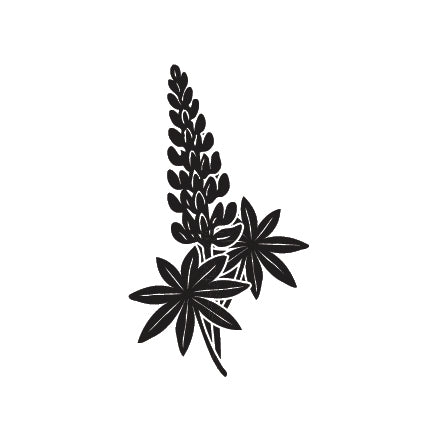 Individual Wild Flowers