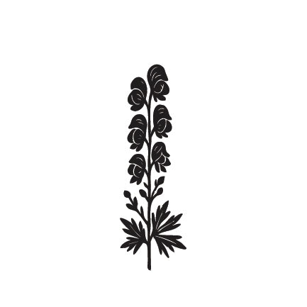 Individual Wild Flowers