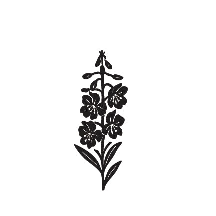 Individual Wild Flowers