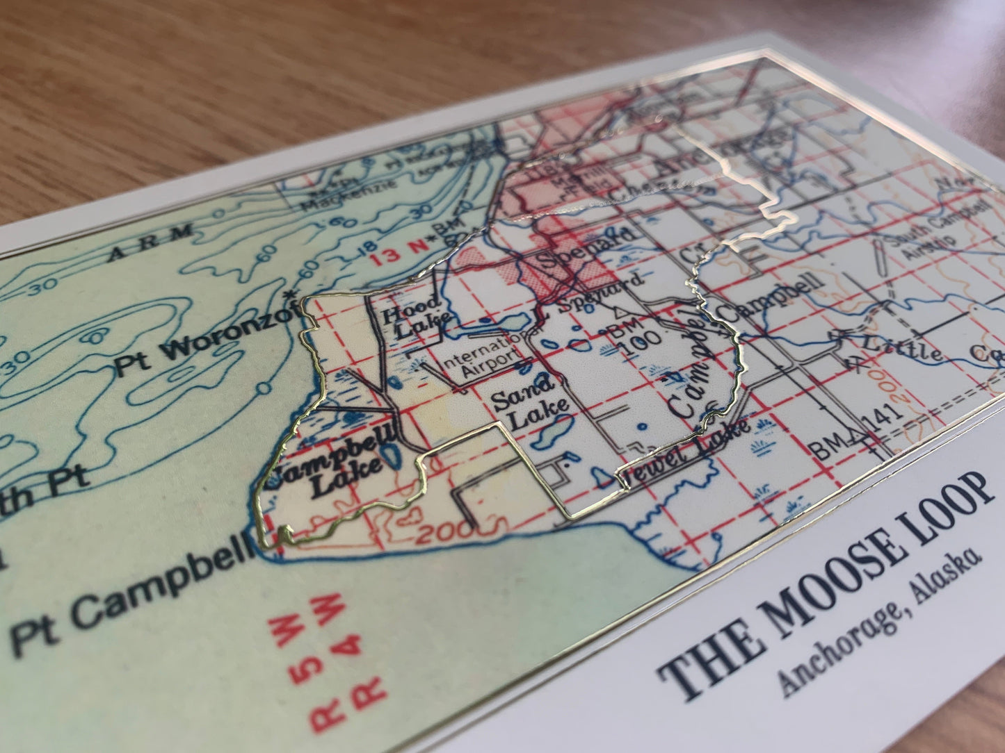 Moose Loop Trail Postcard