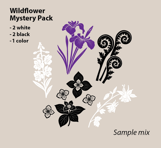 Wildflower Seed Pack (Mystery Bag)